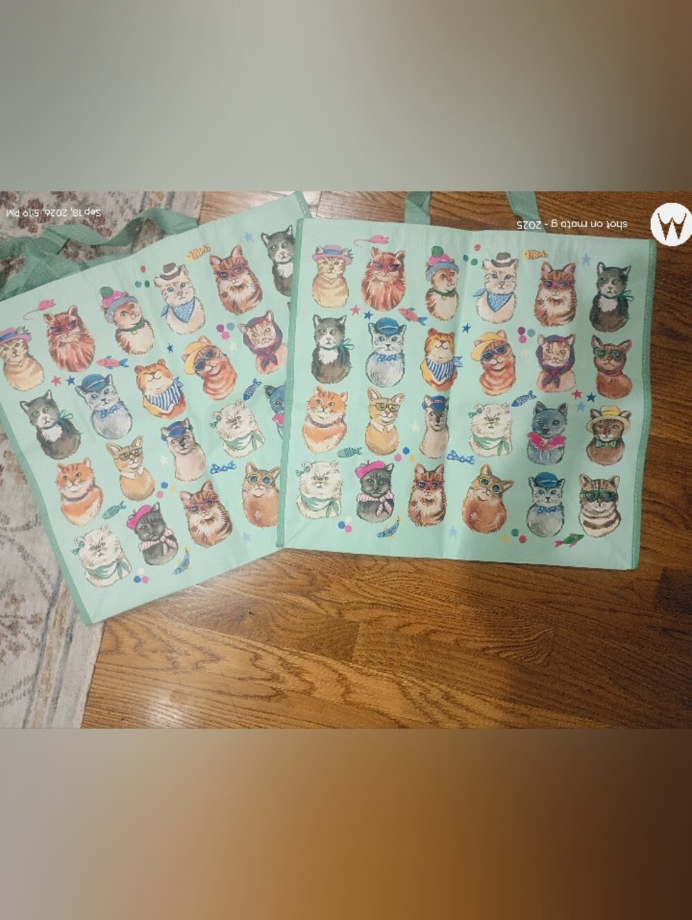 Homegoods TJMaxx Marshalls Cats Print  NWOT (2)